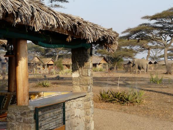 Ndutu Safari Lodge - View Cottage